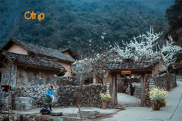 TOUR HÀ NỘI – HÀ GIANG 3N2Đ KHỞI HÀNH THỨ 6 HÀNG TUẦN