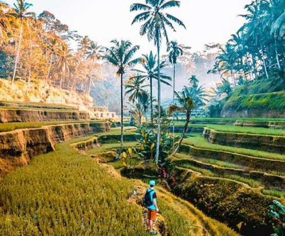 HÀ NỘI – ĐẢO BALI TOUR 5 NGÀY 4 ĐÊM