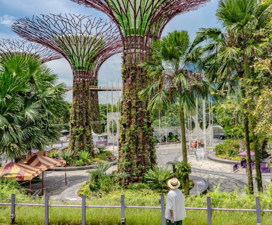 TOUR SINGAPORE – GARDEN BY THE BAY – SENTOSA – JEWEL 4N3Đ