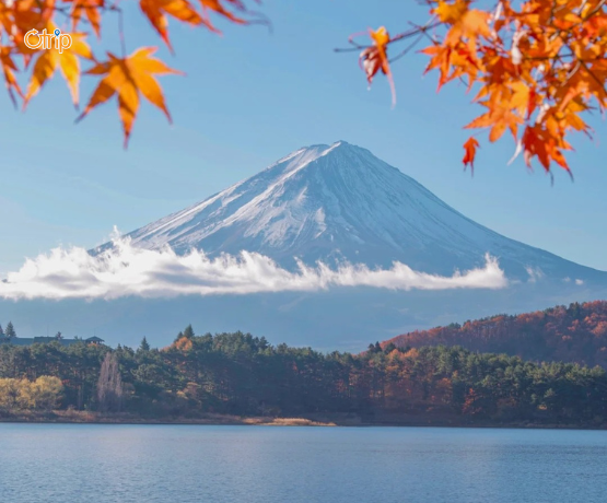 CUNG ĐƯỜNG VÀNG NHẬT BẢN: TOKYO – PHÚ SĨ – KYOTO – OSAKA