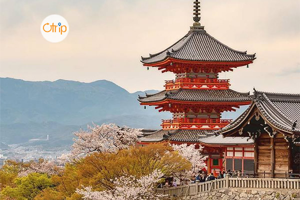 CUNG ĐƯỜNG VÀNG NHẬT BẢN: HÀ NỘI – TOKYO – PHÚ SỸ – KYOTO – OSAKA 6N5Đ