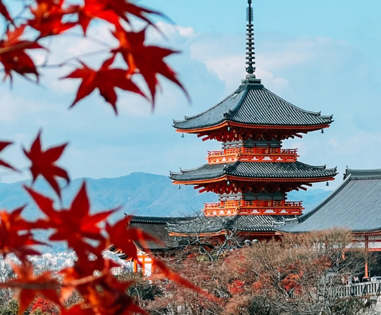 CUNG ĐƯỜNG VÀNG NHẬT BẢN OSAKA – KYOTO – PHÚ SĨ – TOKYO bay VNA