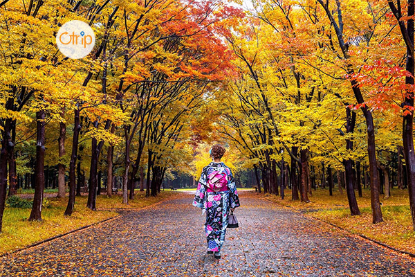 DU LỊCH TOKYO – PHÚ SĨ  – KYOTO – OSAKA – NARITA 6N5Đ (MÙA LÁ ĐỎ)