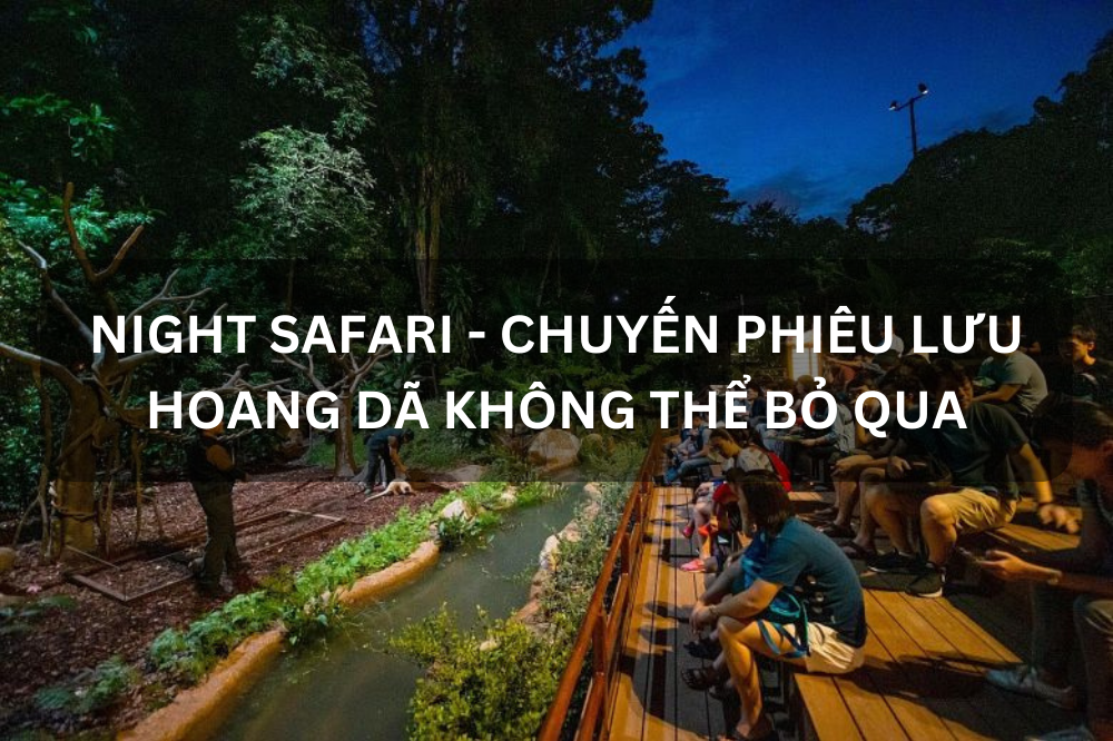 NIGHT SAFARI – CHUYẾN PHIÊU LƯU HOANG DÃ KHÔNG THỂ BỎ QUA