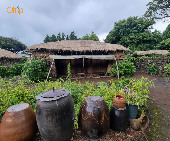 DU LỊCH ĐẢO JEJU CHARTER BAY THẲNG