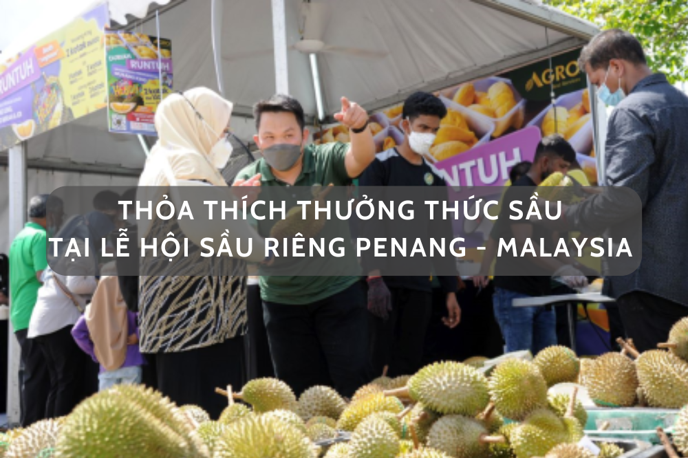 Thời tới! Thỏa sức thưởng thức tại lễ hội sầu riêng Penang – Malaysia