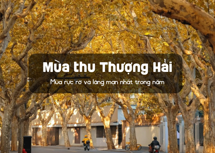 Thượng Hải mùa thu – Mùa rực rỡ và lãng mạn nhất trong năm