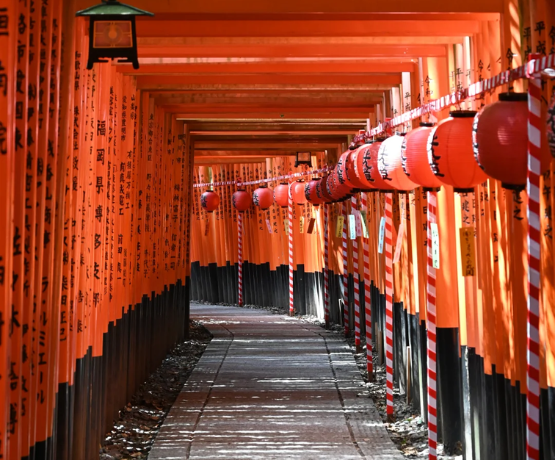 DU LỊCH NHẬT BẢN CUNG ĐƯỜNG VÀNG: OSAKA – KYOTO – PHÚ SĨ – TOKYO bay VNA