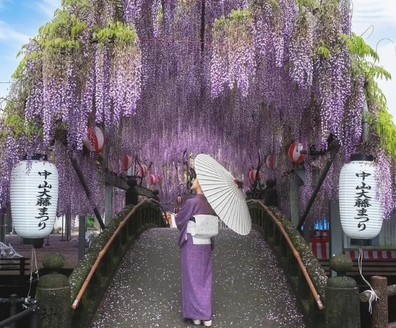 DU LỊCH NHẬT BẢN CUNG ĐƯỜNG VÀNG: OSAKA – KYOTO – PHÚ SĨ – TOKYO bay VNA