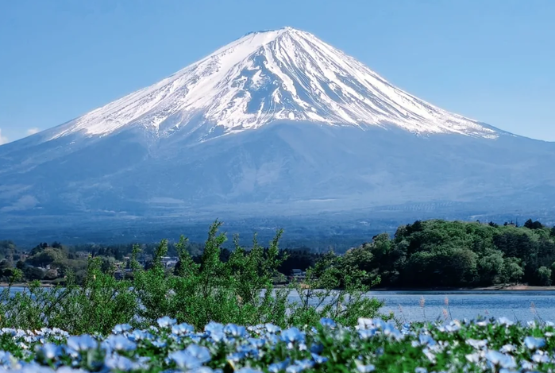 DU LỊCH NHẬT BẢN CUNG ĐƯỜNG VÀNG: OSAKA – KYOTO – PHÚ SĨ – TOKYO bay VNA