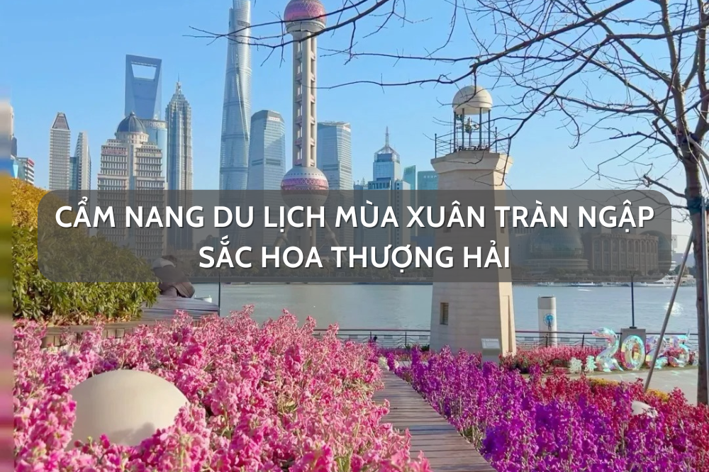 Cẩm nang du lịch mùa xuân ngập sắc Thượng Hải