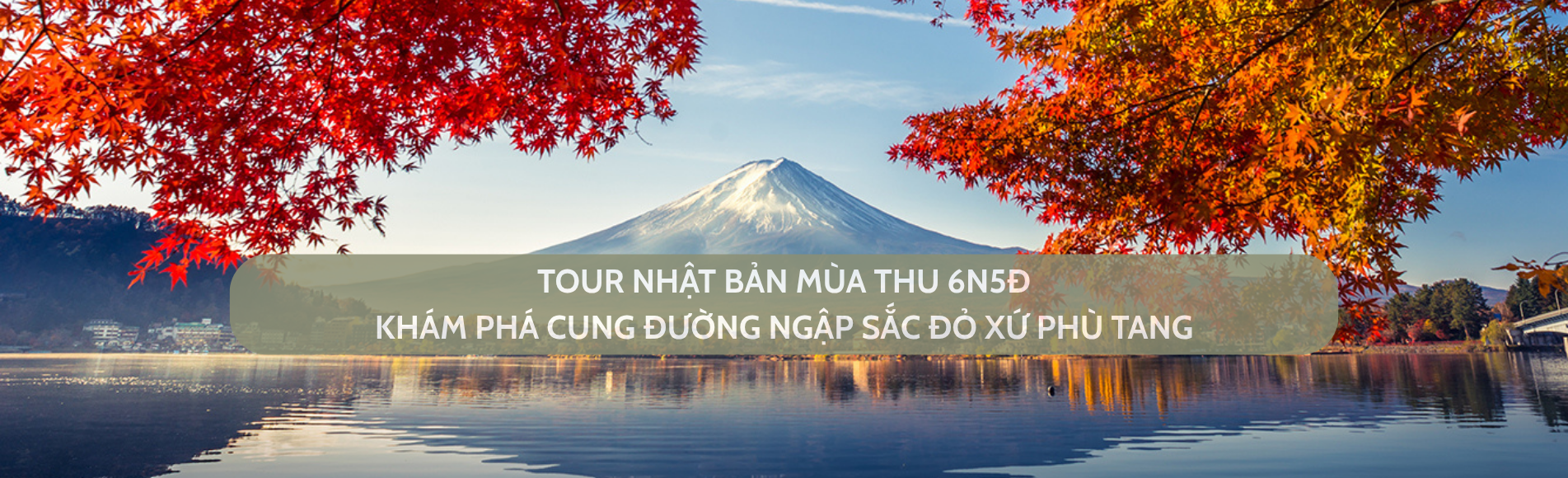 TOUR NHẬT BẢN MÙA THU – KHÁM PHÁ CUNG ĐƯỜNG NGẬP SẮC ĐỎ XỨ PHÙ TANG