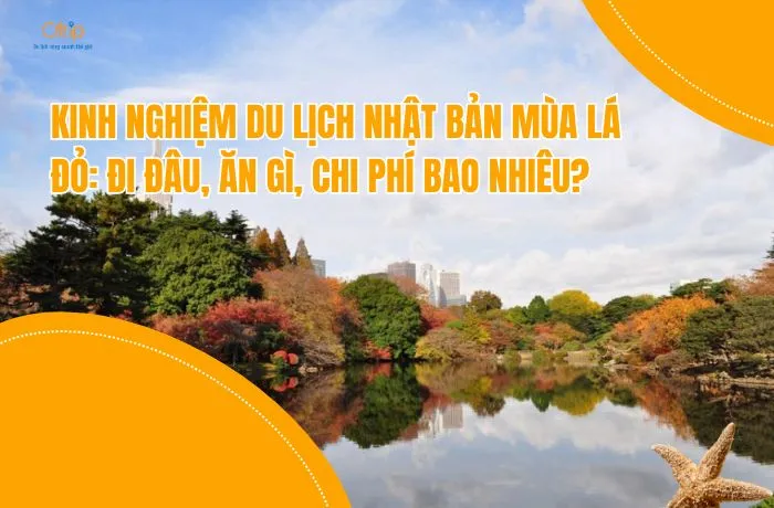 Kinh Nghiệm Du Lịch Nhật Bản Mùa Lá Đỏ: Đi Đâu, Ăn Gì, Chi Phí Bao Nhiêu?