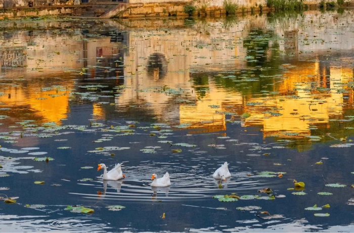 Dòng nước trong veo len qua từng hiên nhà, mang theo tiếng chuông xa vọng giữa núi