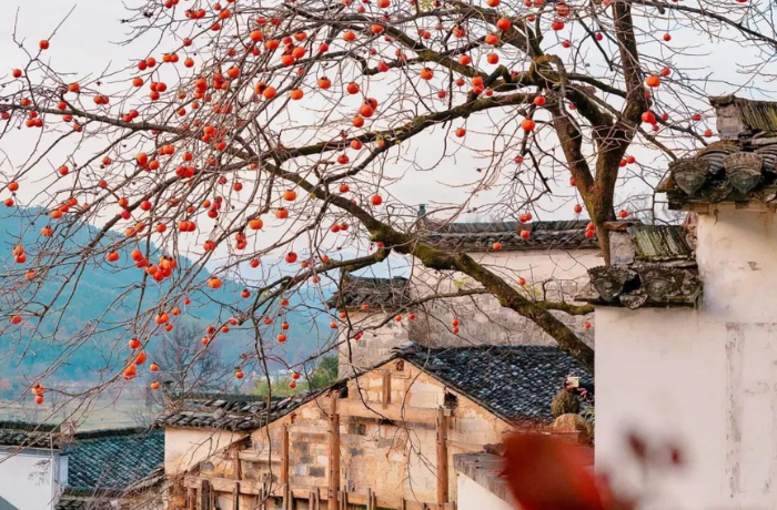 Mỗi góc nhỏ của An Huy đều là một thước phim cổ phong sống động