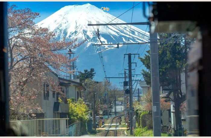 Vẻ đẹp của núi Phú Sĩ Nhật Bản mùa hoa anh đào