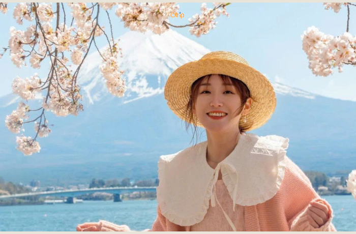 Vẻ đẹp của núi Phú Sĩ Nhật Bản mùa hoa anh đào