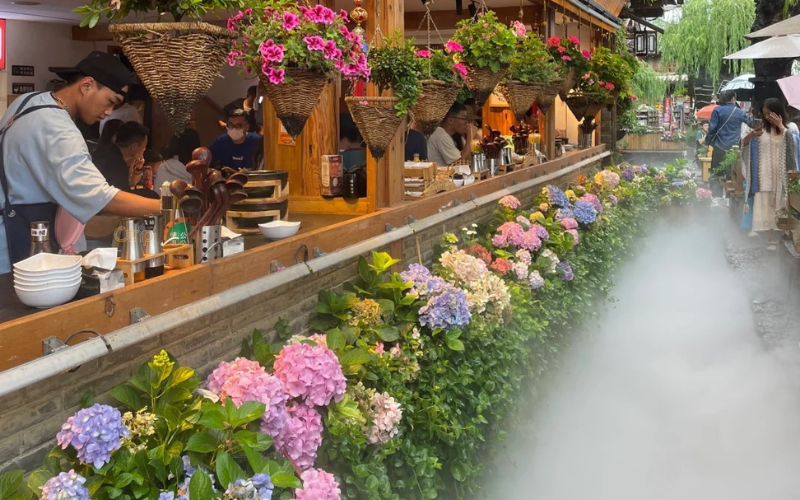 Thành cổ Lệ Giang: Nơi thời gian ngưng đọng bên dòng chảy ngàn năm - Otrip.vn